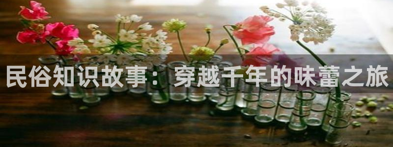 七猫热门小说排行榜：民俗知识故事：穿越千年的味蕾之旅
